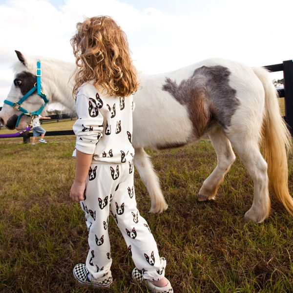 Kids Organic Sweatpant - Boston Terrier Online now - Image 3